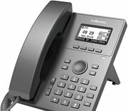 Flyingvoice P10W фото